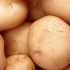 Фотографию картошки продали за миллион долларов